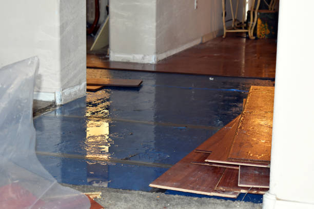 Professional Burst Pipe Cleanup technician working in Pine Valley, UT
